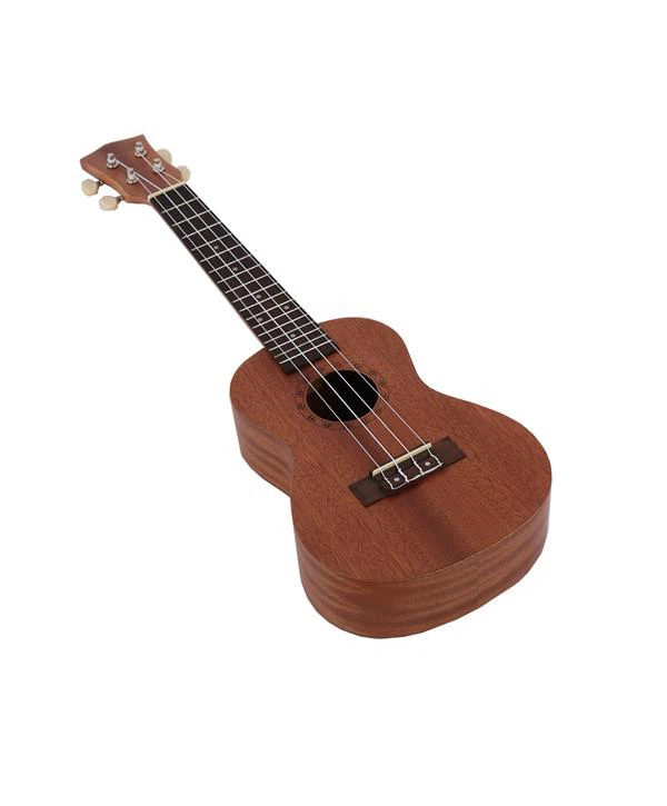 cheap ukulele for sale