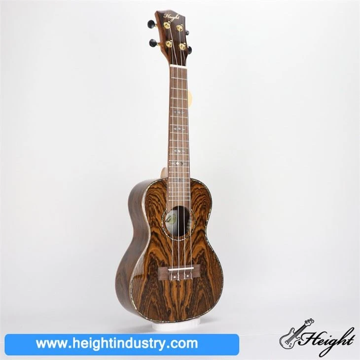 Bass Ukelele